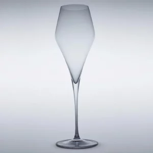 artner magnum Champagner - 1 Karton mit 6 Gläsern
