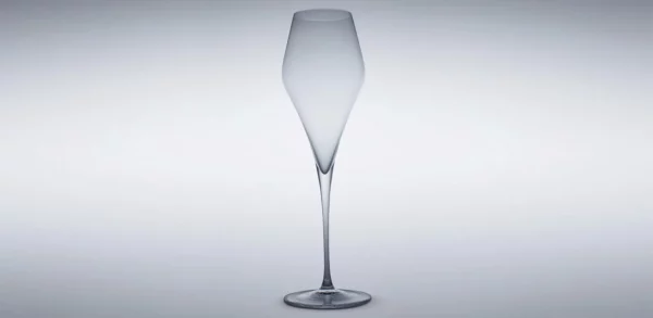 artner magnum Champagner - 1 Karton mit 6 Gläsern