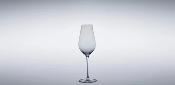 artner magnum Port - 1 Karton mit 6 Gläsern